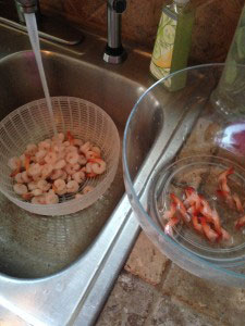 FrozenShrimpPrep